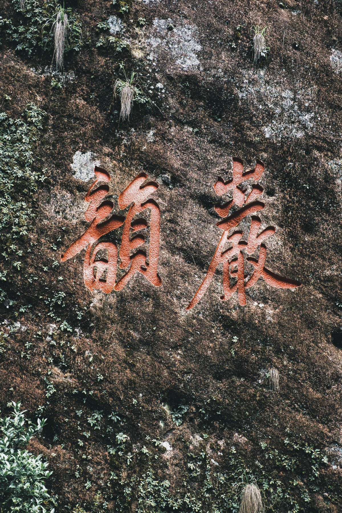 Landscape view of the Wuyi Mountains