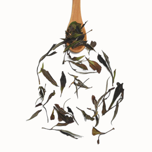 Tea leaves of White Shui Xian 