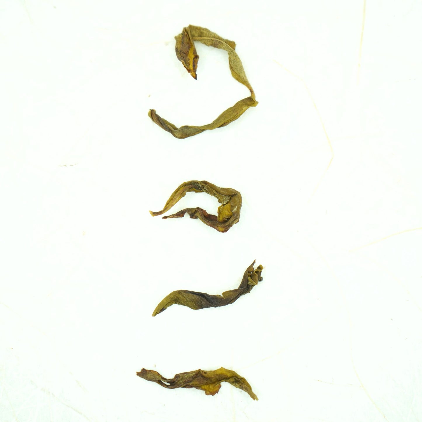 White Crown - Bai Ji Guan 白鸡冠
