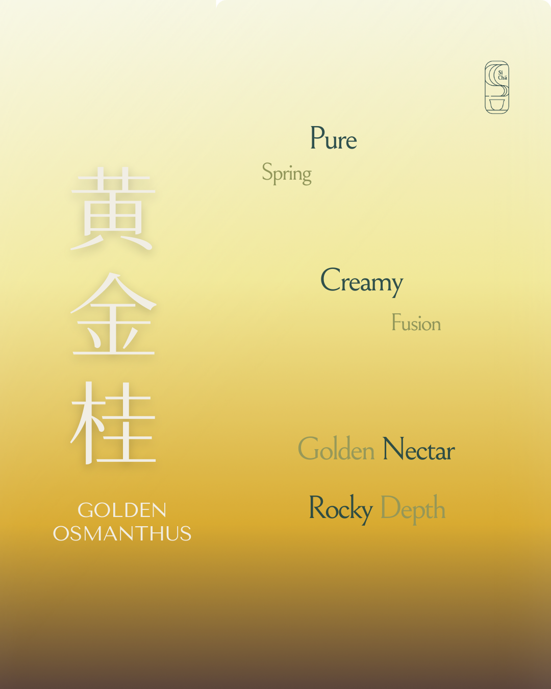 黄金桂 Huang Jin Gui - Golden Osmanthus